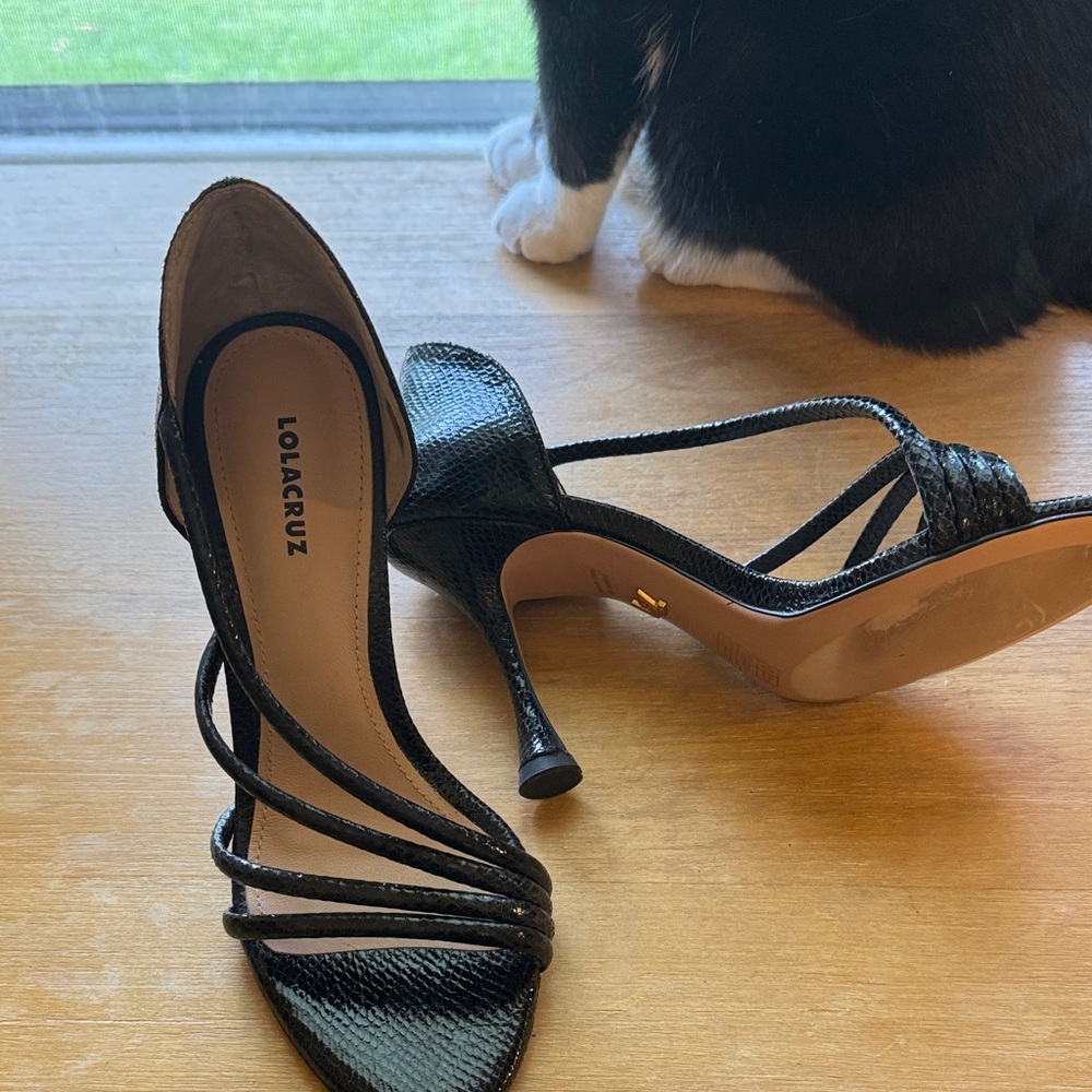 Lola Cruz Black Strappy Heels